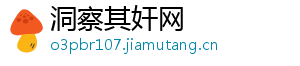 洞察其奸网
